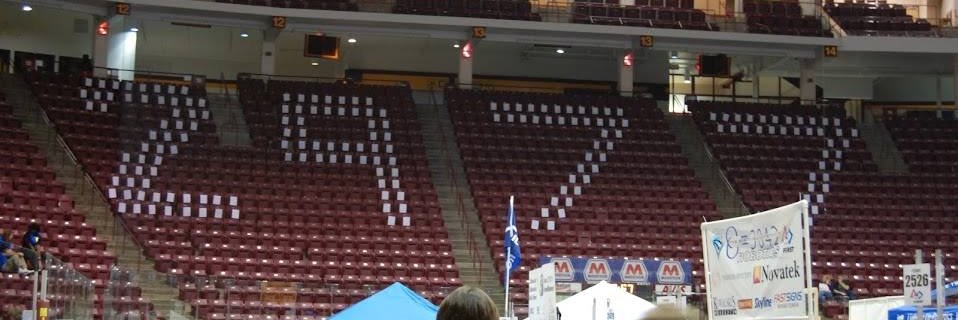 Sir Lancer Bots Team 2977 banner