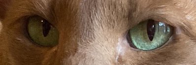 𝕸𝔄𝔗𝔗𝔥𝔈𝖂 🚑 🇮🇲 banner