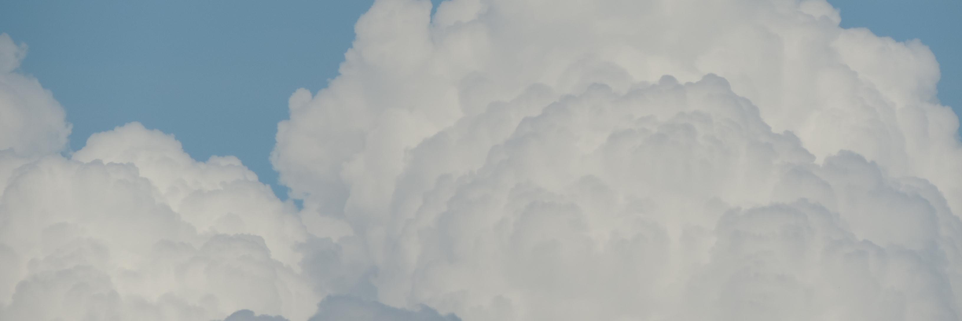 susimcwilly's profile banner image