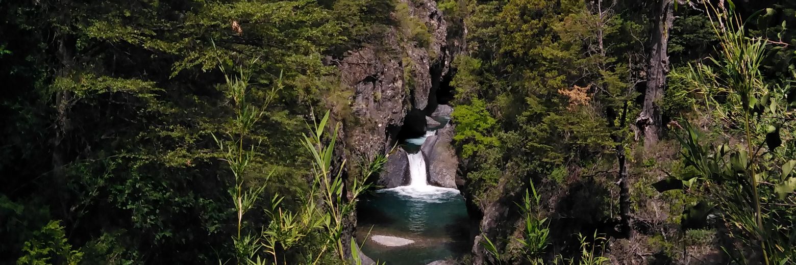 Danilo Aguilar banner