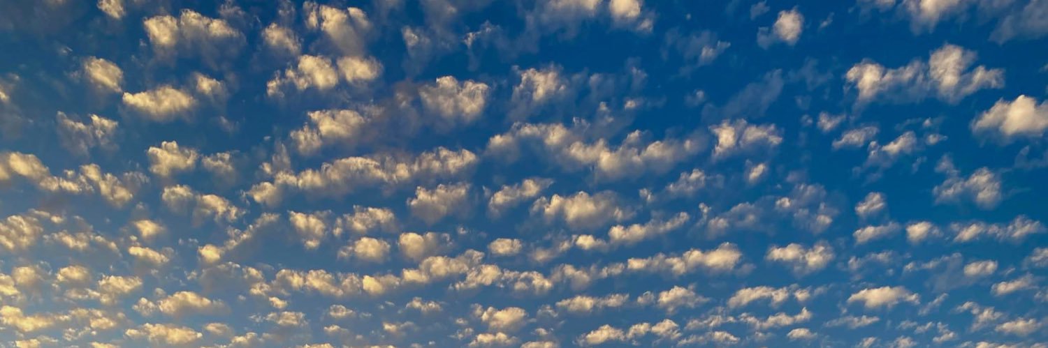 Alaa__farag's profile banner image