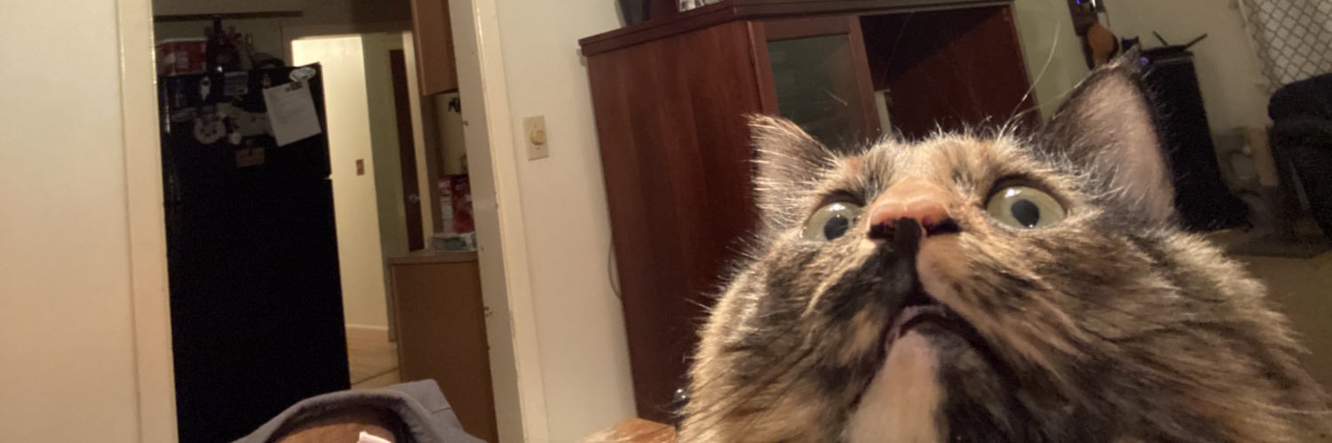 bekah_walker11's profile banner image