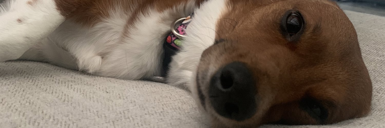 faniiaaspoons's profile banner image