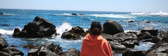 paulabanny's profile banner image