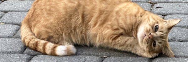 SkinnerPm Profile Banner