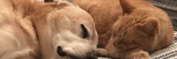 SkinnerPm Profile Banner