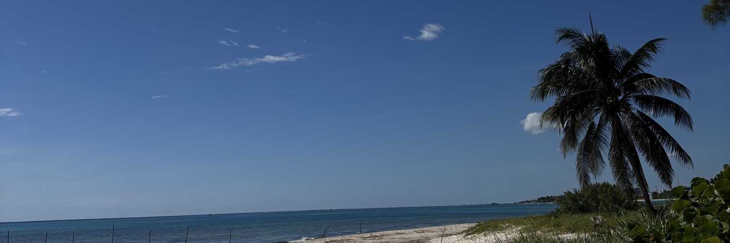 VirReynoso's profile banner image