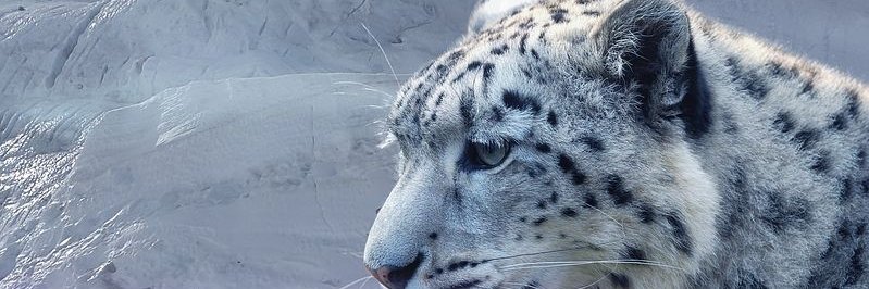 Rachrouch87's profile banner image