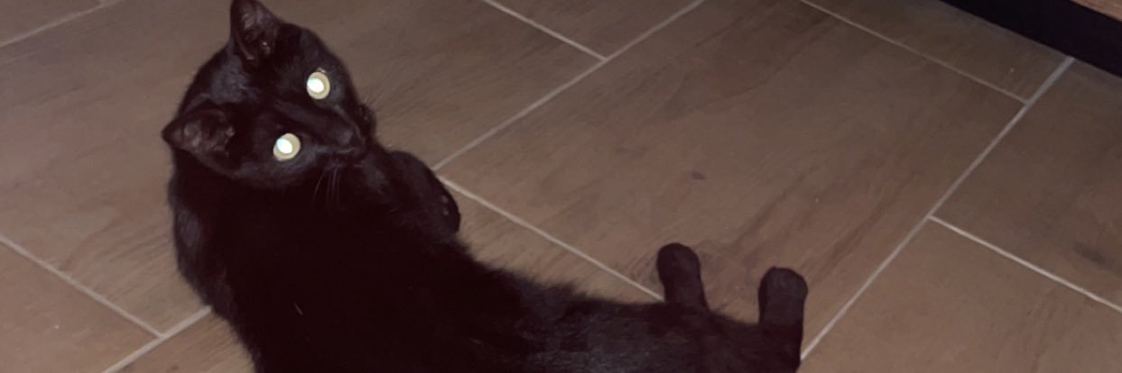 PsynoY's profile banner image