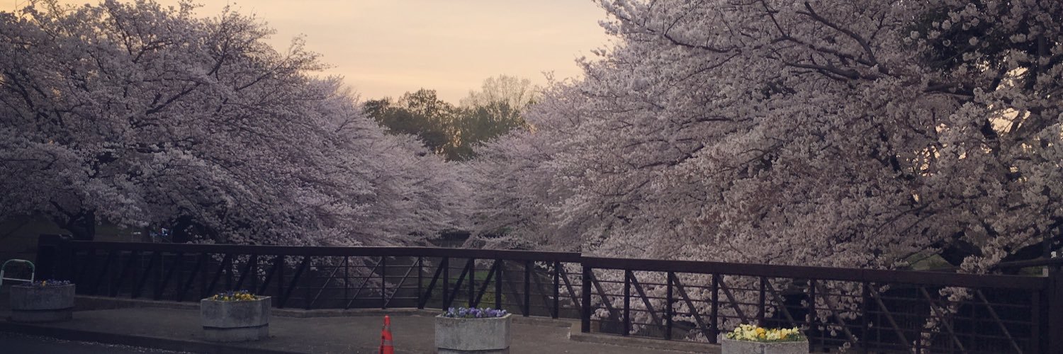 nogmono's profile banner image