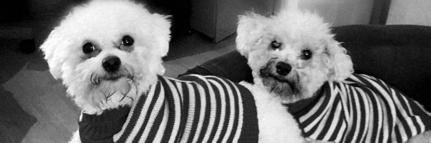 chrissy-lou churchill banner