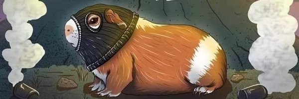 Shady1734 Profile Banner