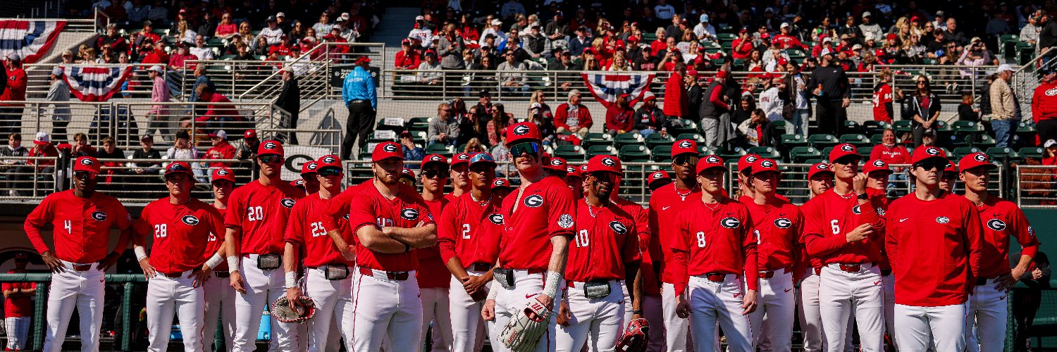Georgia Baseball's banner