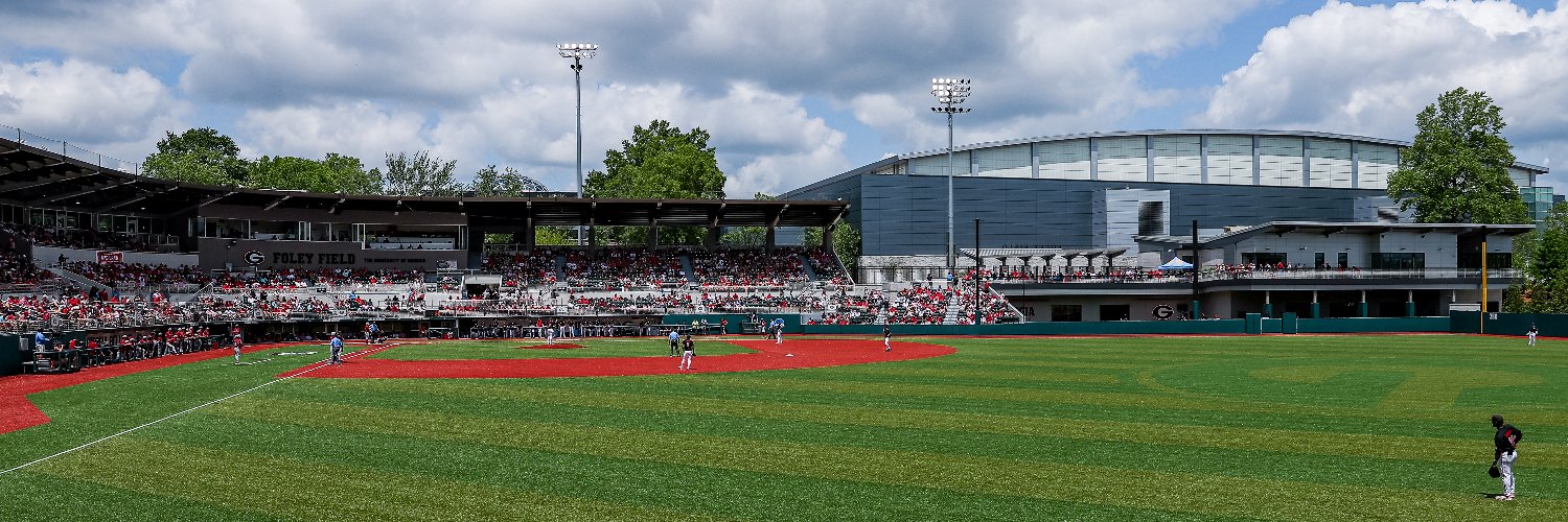 Georgia Baseball banner