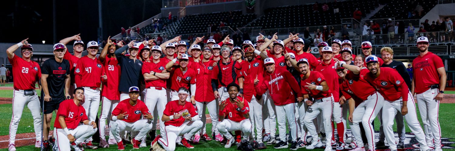 Georgia Baseball banner
