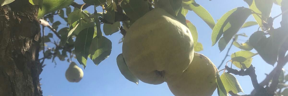 Biyani34's profile banner image