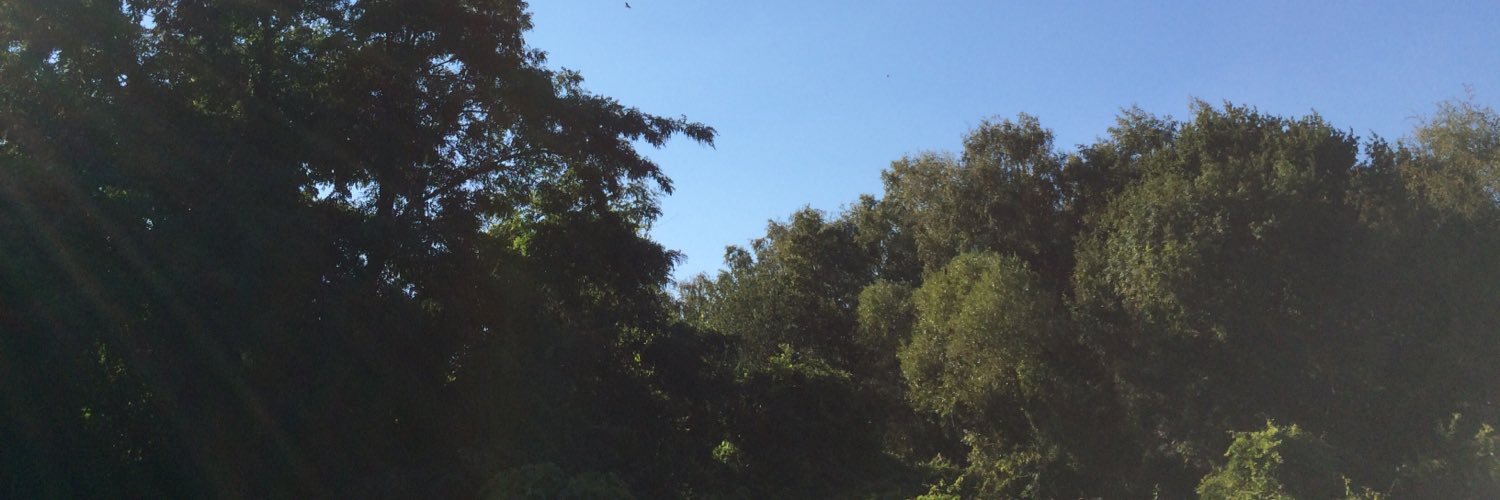 atse_school's profile banner image