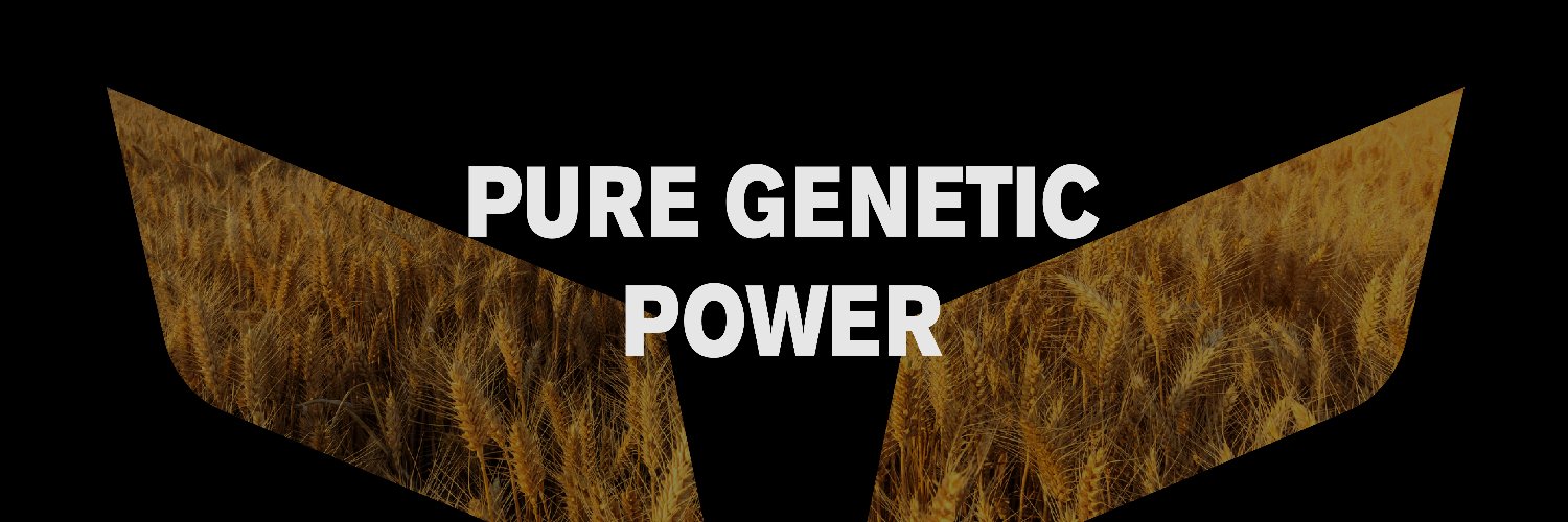 virtueseeds's profile banner image