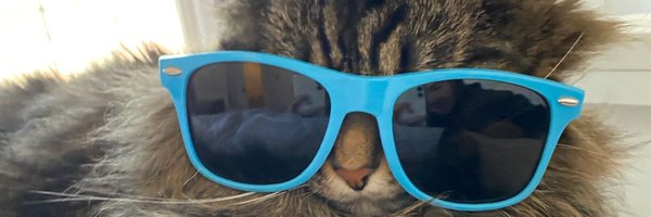 mcintosh33 Profile Banner