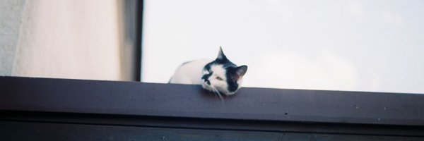 Rami96614090 Profile Banner