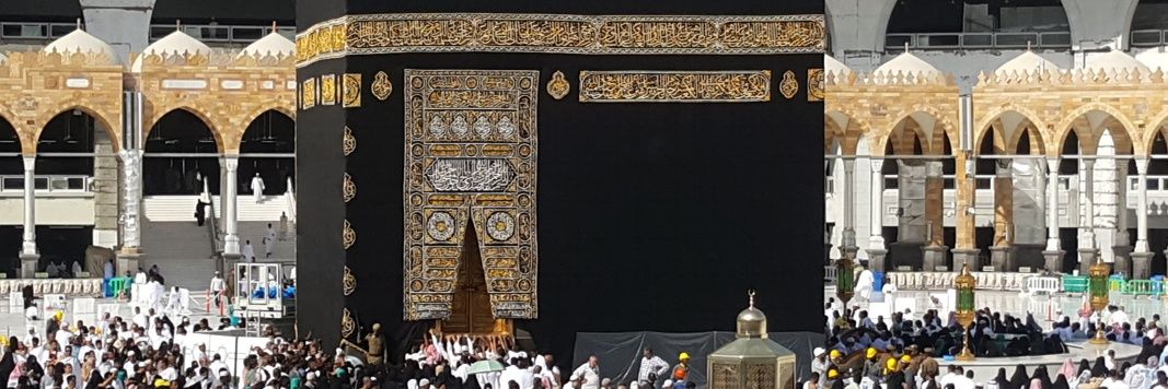 moatazelsayeh's profile banner image