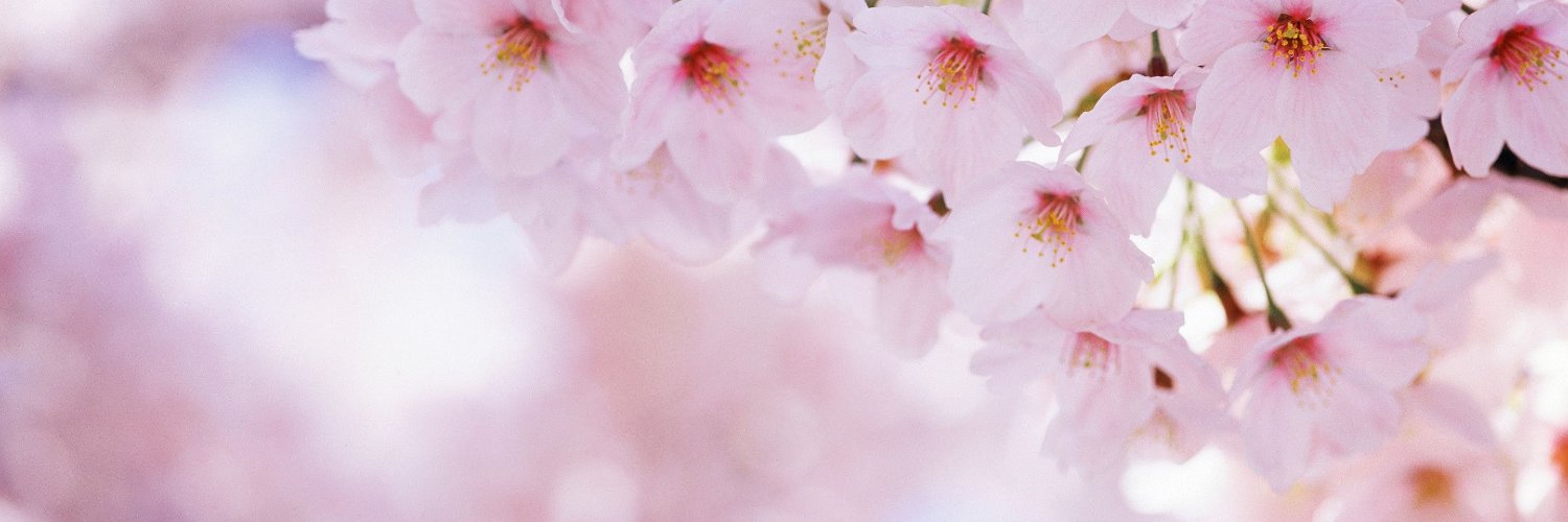 0xprincess's banner