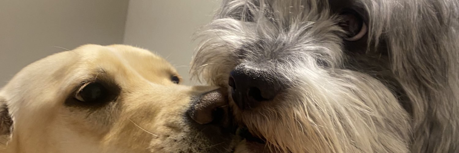 soyray's profile banner image