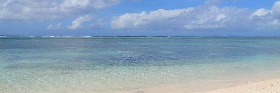 하늘서기(석기형) banner