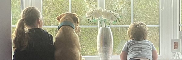 FitnesSovereign Profile Banner