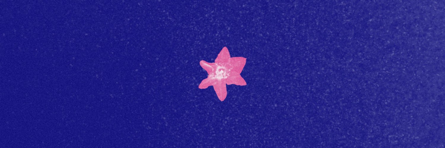 ayyasarisha's profile banner image