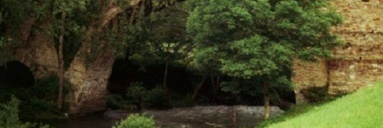 Ayel1824's profile banner image