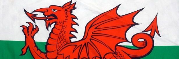 welsh_bi's profile banner image