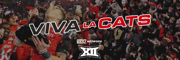 VIVA LA CATS 🐻‍❄️🐈‍⬛‼️ Profile Banner