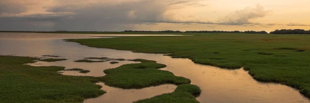 Nilotic- النيلي banner