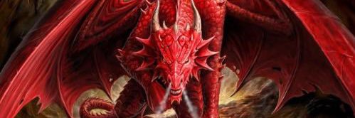DragonsSLDF's profile banner image