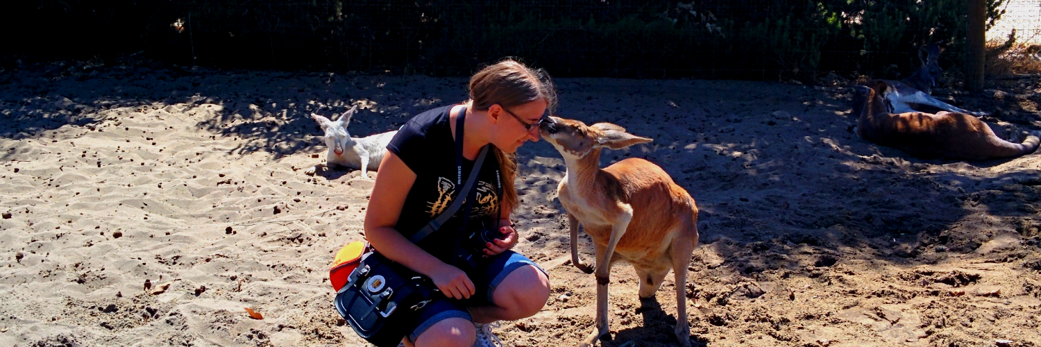 EmilyElmlund's profile banner image
