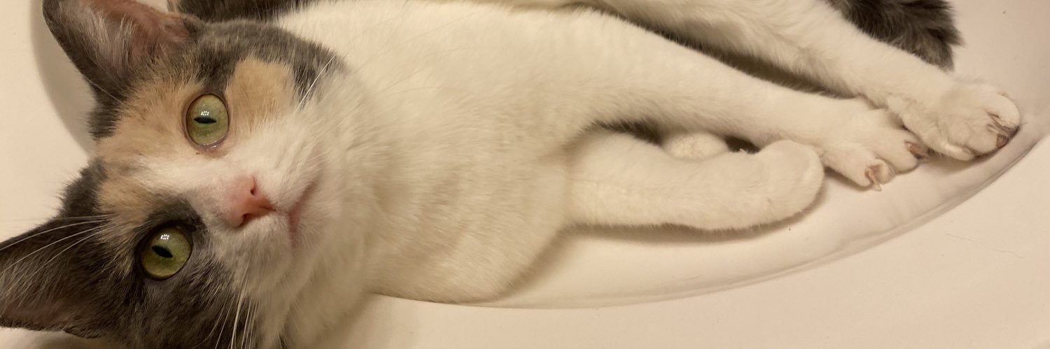 Claire (Taylor’s Version) banner