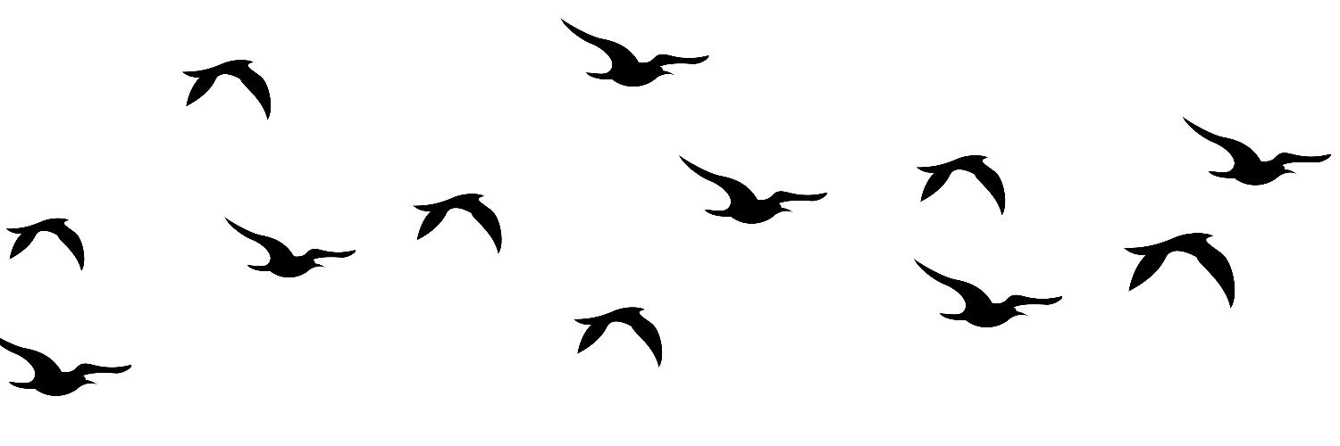 ModovicOfficial's profile banner image