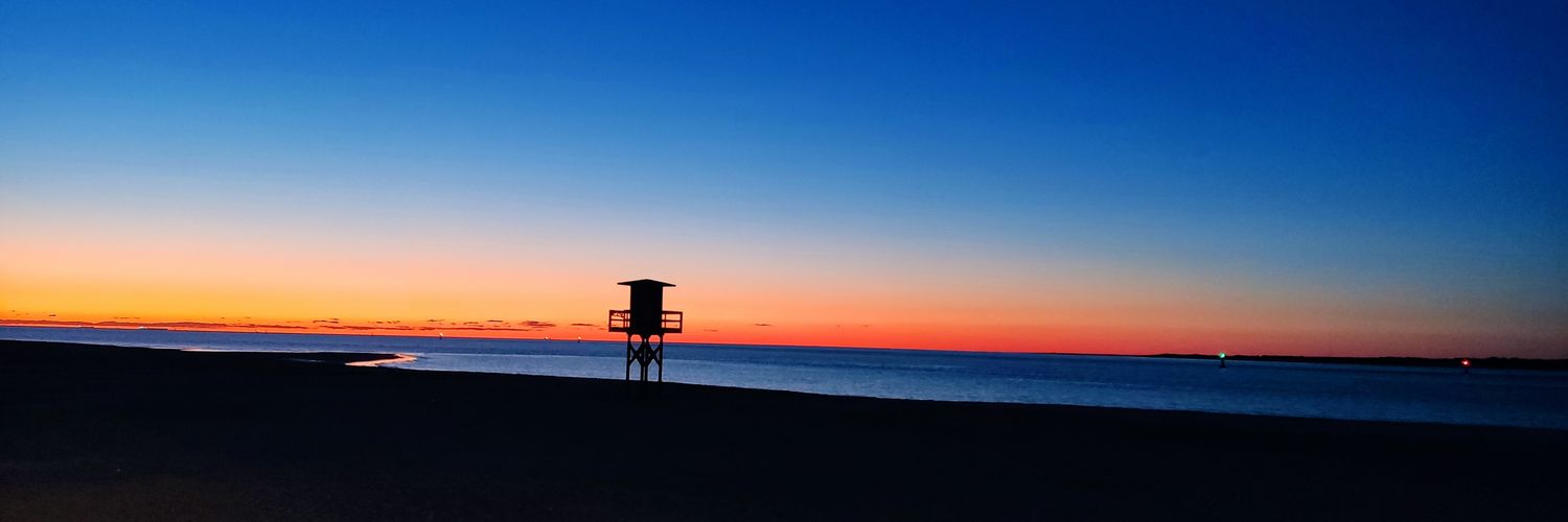 a_luna98's profile banner image