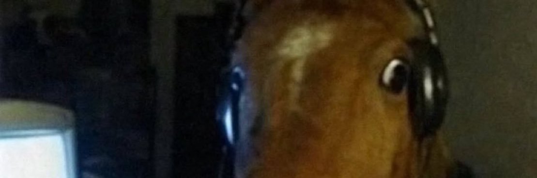 JulianMunevarn's profile banner image