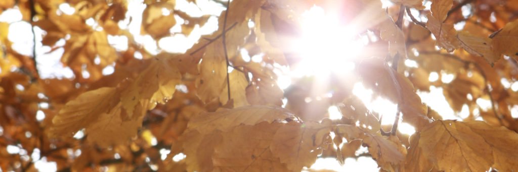 akpru's profile banner image