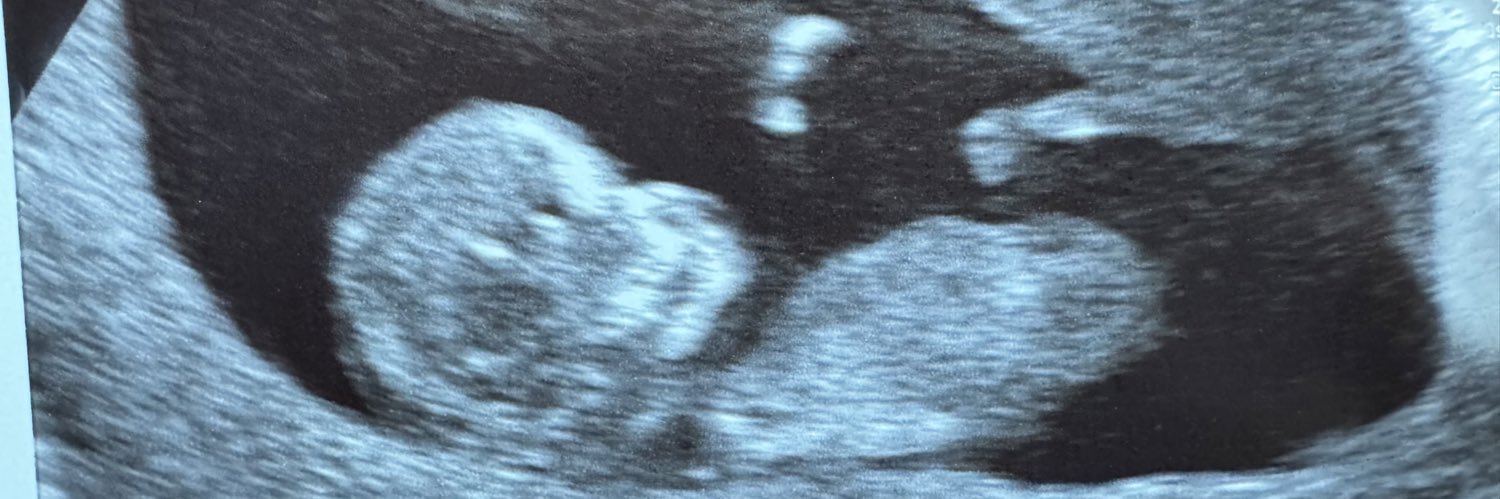 MooreDanielle16's profile banner image
