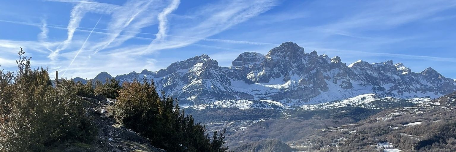 elpelli_'s profile banner image