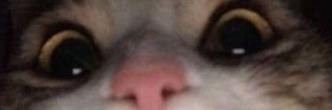 Eki banner