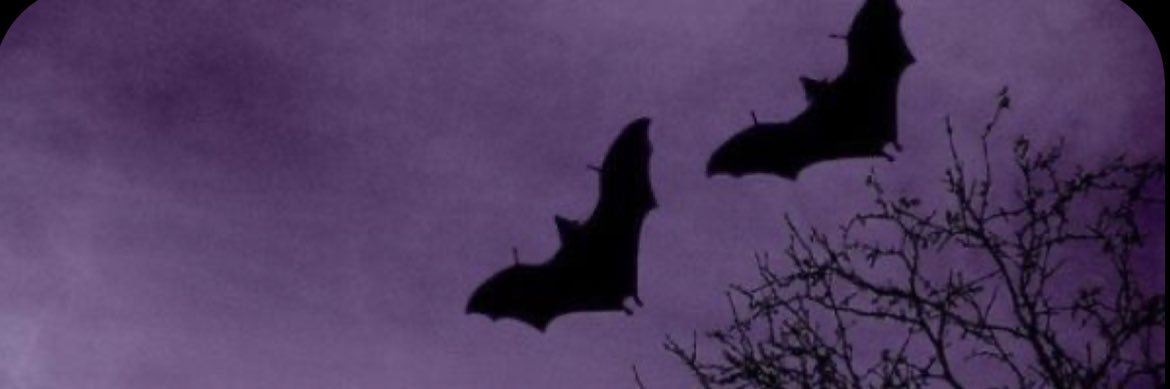 c0zmic_vampire's profile banner image