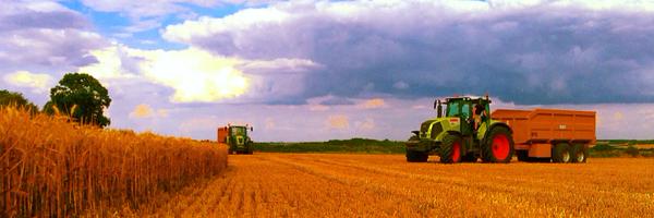 RoryGGalloway Profile Banner