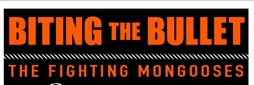 Biting The Bullet banner