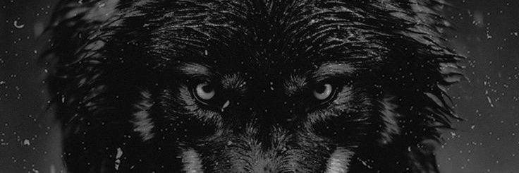 tonypanas's profile banner image