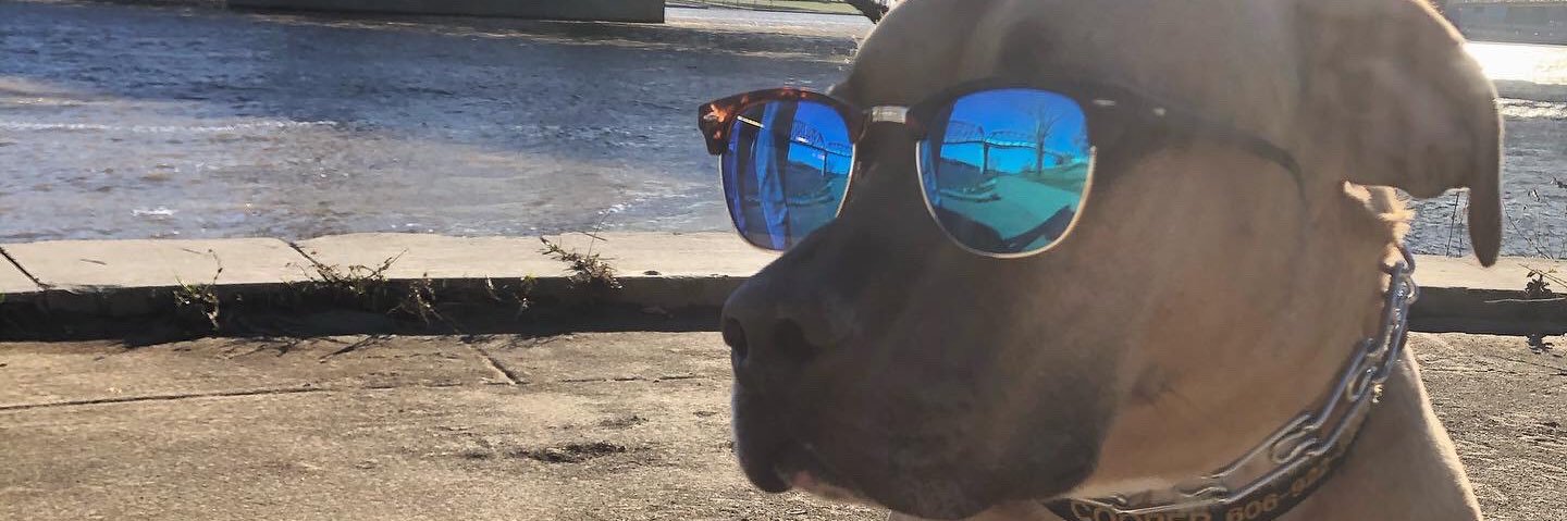 CassieWoolley1's profile banner image