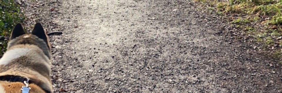 kenbean25's profile banner image